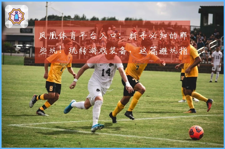 凤凰体育平台入口：新手必知的那些坑！玩转游戏装备，这篇避坑指南帮你省大钱！