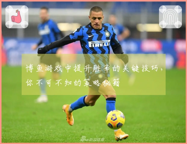 博鱼游戏中提升胜率的关键技巧，你不可不知的策略秘籍